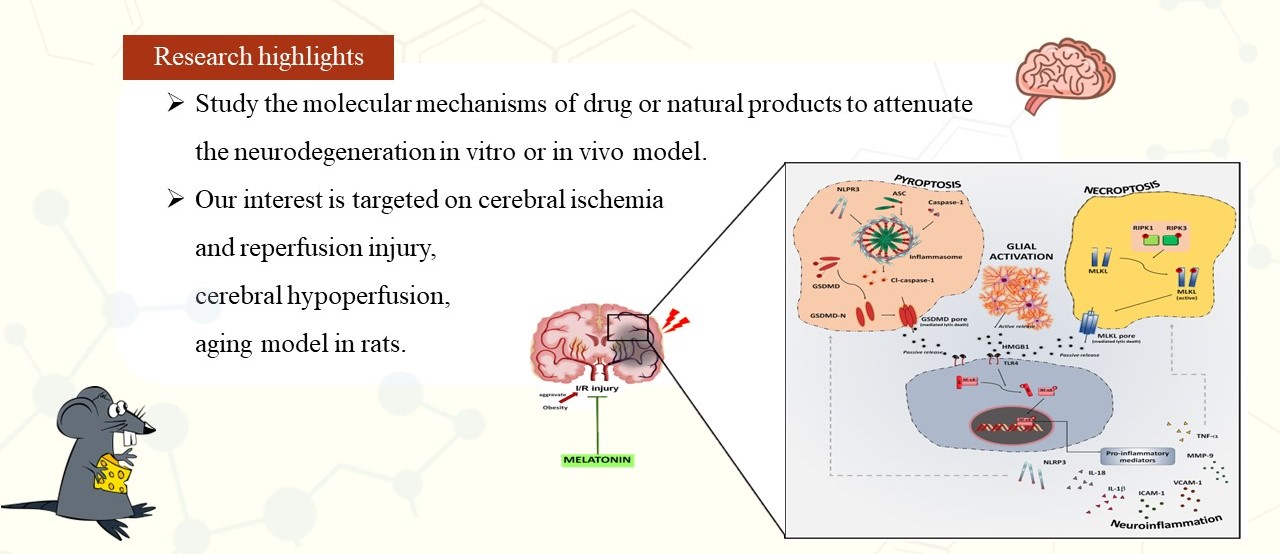 Neurophysiology Unit