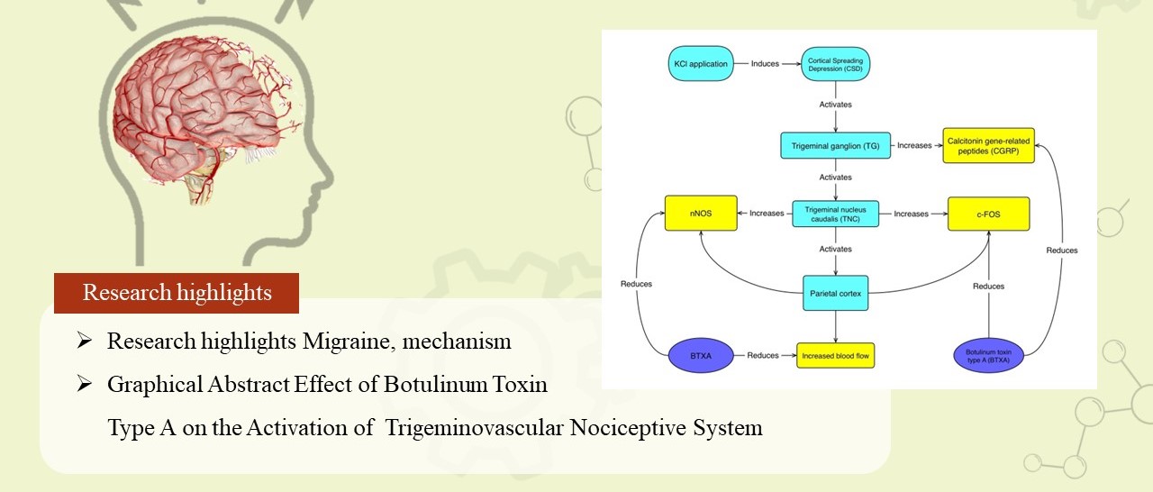 Neuromuscular Physiology Unit